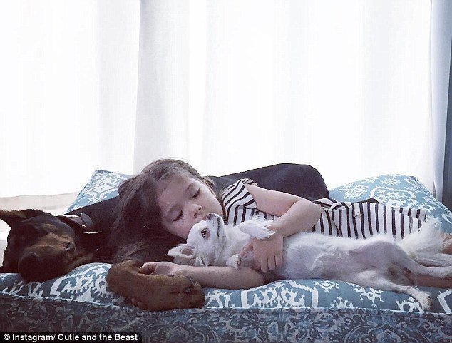 Τετράχρονη λιώνει τα social media κάνοντας αγάπες με το τεράστιο ντόπερμάν της [εικόνες] | iefimerida.gr 12