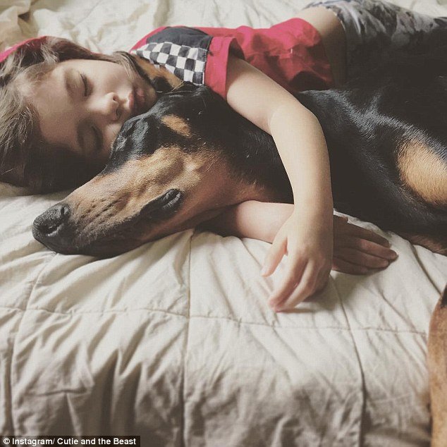 Τετράχρονη λιώνει τα social media κάνοντας αγάπες με το τεράστιο ντόπερμάν της [εικόνες] | iefimerida.gr 0