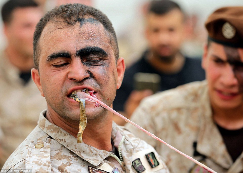 Δαγκώνουν φίδια, σέρνουν φορτηγά: Η απίστευτη επίδειξη των κομάντο στον Λίβανο [εικόνες] | iefimerida.gr 3