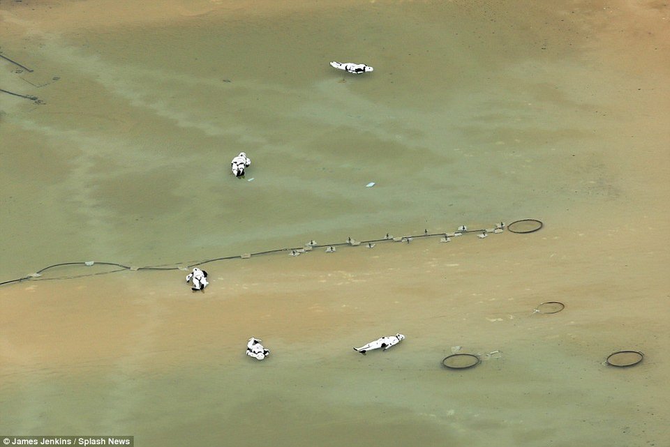 Εντυπωσιακό: Διέρρευσαν σκηνές από τα γυρίσματα του νέου Star Wars [εικόνες] | iefimerida.gr 3