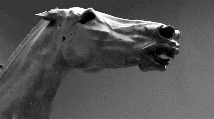 Κόβουν την ανάσα οι φωτογραφίες των κλασικών αρχαιοελληνικών γλυπτών στο Αρχαιολογικό Μουσείο [εικόνες] | iefimerida.gr 2