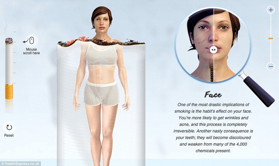 Οι τρομακτικές επιδράσεις του τσιγάρου στο σώμα σε ένα γράφημα - Τα όργανα ενός καπνιστή και ενός μη καπνιστή [εικόνες] | iefimerida.gr 0