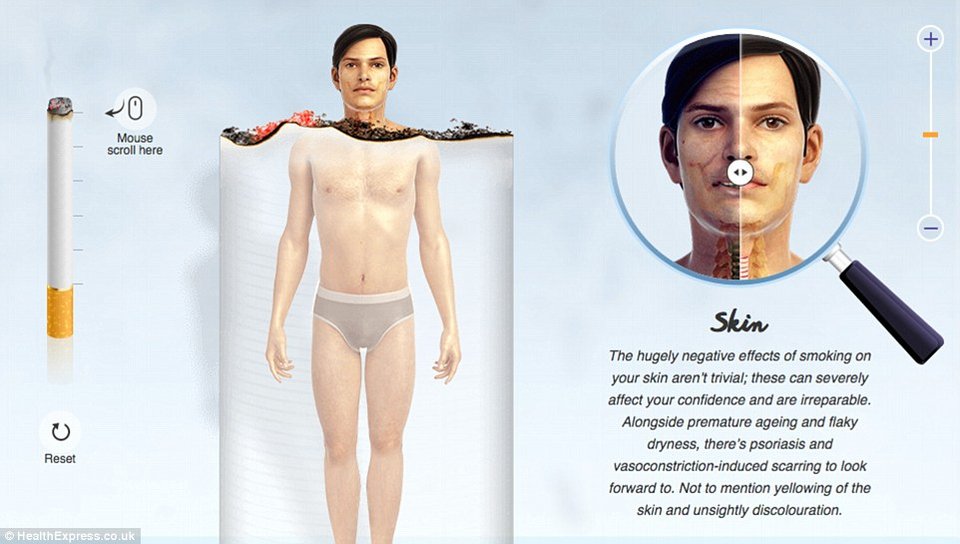 Οι τρομακτικές επιδράσεις του τσιγάρου στο σώμα σε ένα γράφημα - Τα όργανα ενός καπνιστή και ενός μη καπνιστή [εικόνες] | iefimerida.gr 6