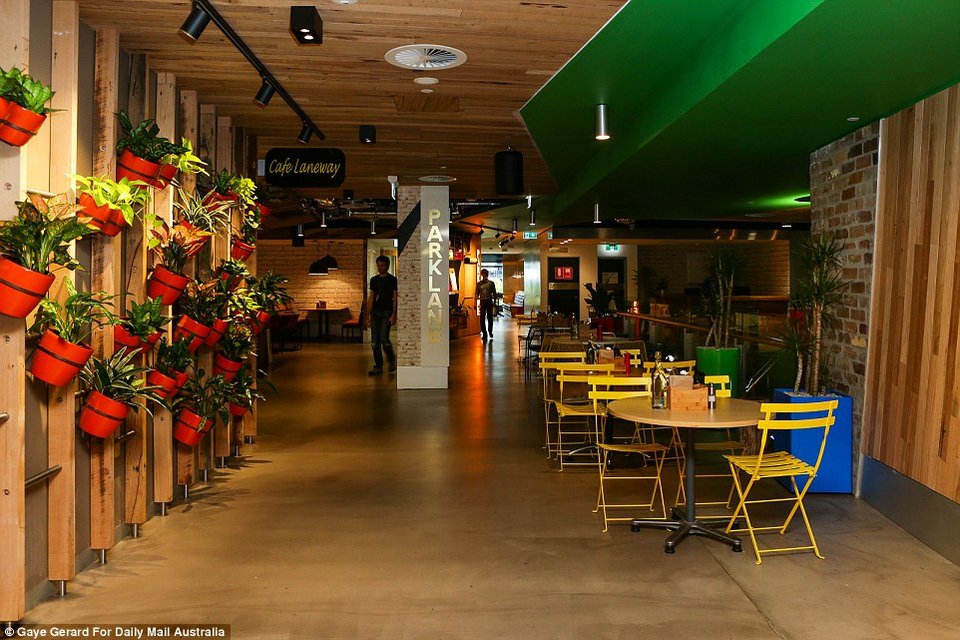 Μέσα στα απίθανα γραφεία της Google - Οι υπάλληλοι κάνουν αναρρίχηση και παίζουν μπιλιάρδο [εικόνες] | iefimerida.gr 7