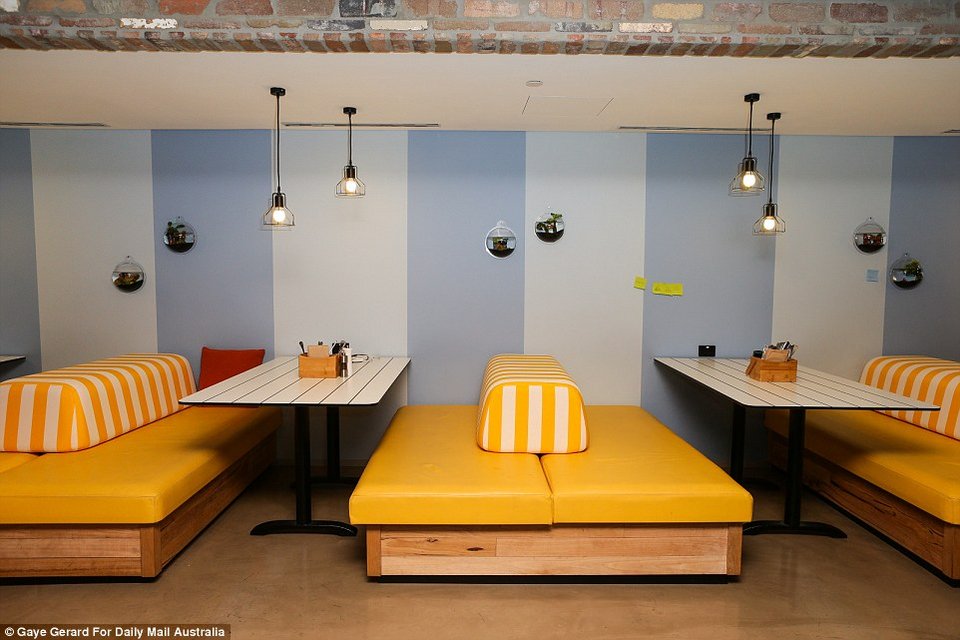 Μέσα στα απίθανα γραφεία της Google - Οι υπάλληλοι κάνουν αναρρίχηση και παίζουν μπιλιάρδο [εικόνες] | iefimerida.gr 6