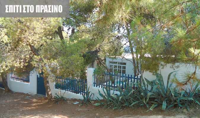 Αυθαίρετο σε αναδασωτέα περιοχή έχει ο Παπακωνσταντίνου | iefimerida.gr 2