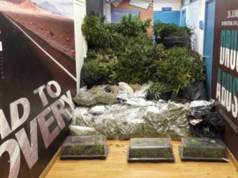 Eξαρθρώθηκε κύκλωμα που καλλιεργούσε κάνναβη -Συνελήφθησαν δύο Κινέζες [εικόνες] | iefimerida.gr 0