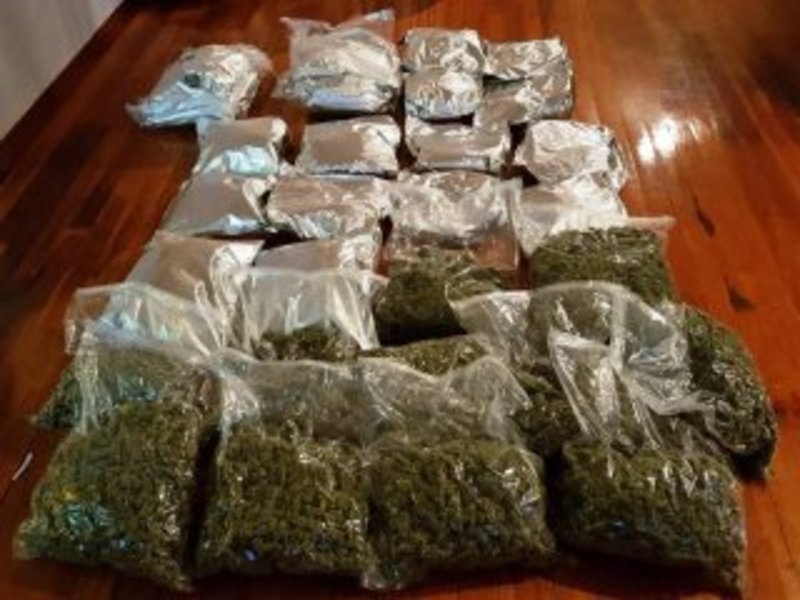 Eξαρθρώθηκε κύκλωμα που καλλιεργούσε κάνναβη -Συνελήφθησαν δύο Κινέζες [εικόνες] | iefimerida.gr 1