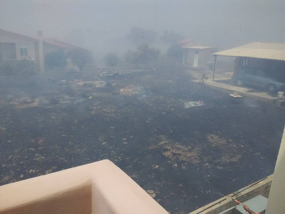 «Δεν φεύγω από το βιος μου»: Φωνή απόγνωσης από τους κατοίκους της Λακωνίας [εικόνες] | iefimerida.gr 3