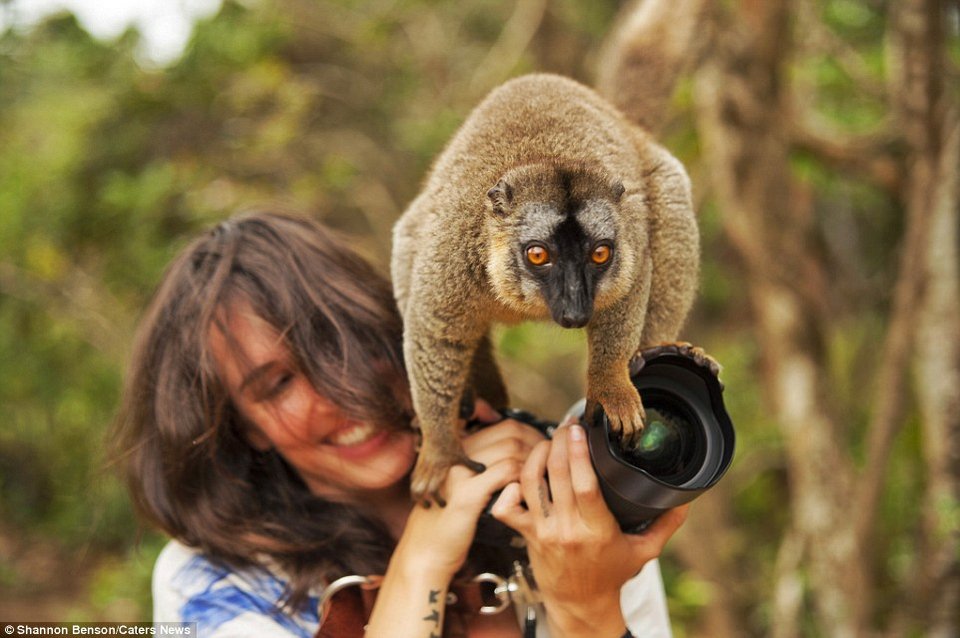 Την χτύπησαν τσιτάχ και ελέφαντες, την δάγκωσαν φίδια -Ολα για μια selfie [εικόνες] | iefimerida.gr 3