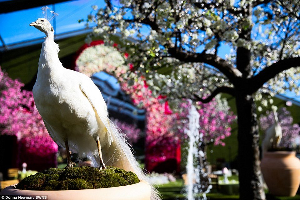 15 ετών, έκανε πάρτυ των 6 εκατ. ευρώ -Πατέρας ξόδεψε μια περιουσία για την κόρη του [εικόνες] | iefimerida.gr 7