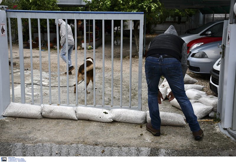 Σε κατάσταση εκτάκτου ανάγκης η Πελοπόννησος -Πλημμύρες, καταστροφές [εικόνες & βίντεο] | iefimerida.gr 11