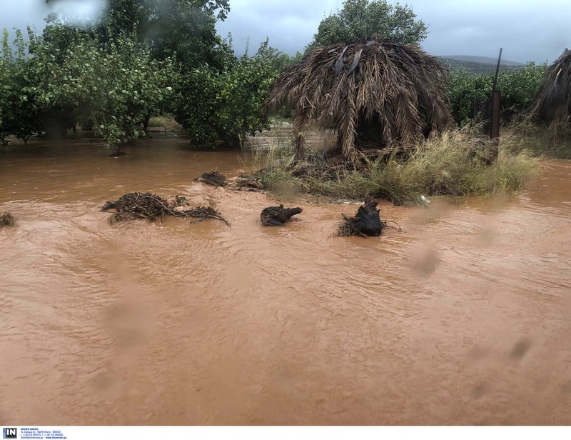 Σε κατάσταση εκτάκτου ανάγκης η Πελοπόννησος -Πλημμύρες, καταστροφές [εικόνες & βίντεο] | iefimerida.gr 3