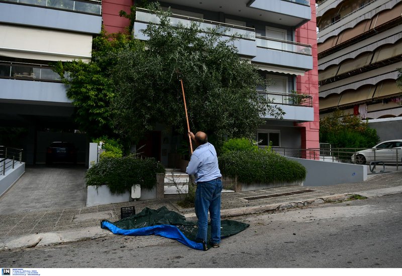 Φωτογραφία: Intimenews/ΠΑΝΑΓΙΩΤΟΠΟΥΛΟΣ ΝΙΚΟΣ