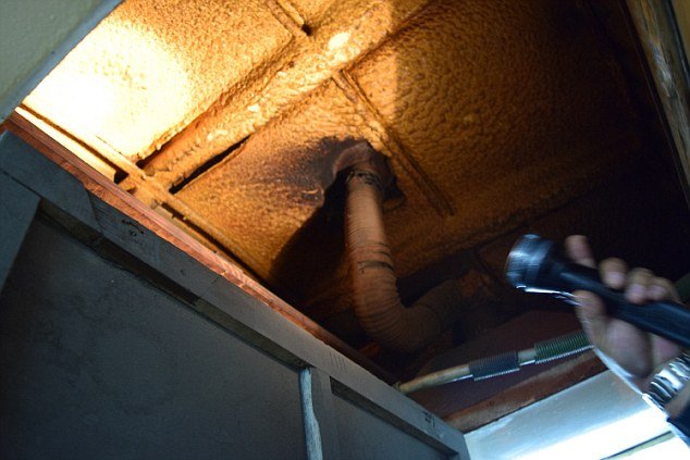 Daily Mail: Κυνηγώντας πρόσφυγες με τις σκοπιανές αρχές -Περιπολία με τους σκληρότερους του κόσμου [εικόνες] | iefimerida.gr 6