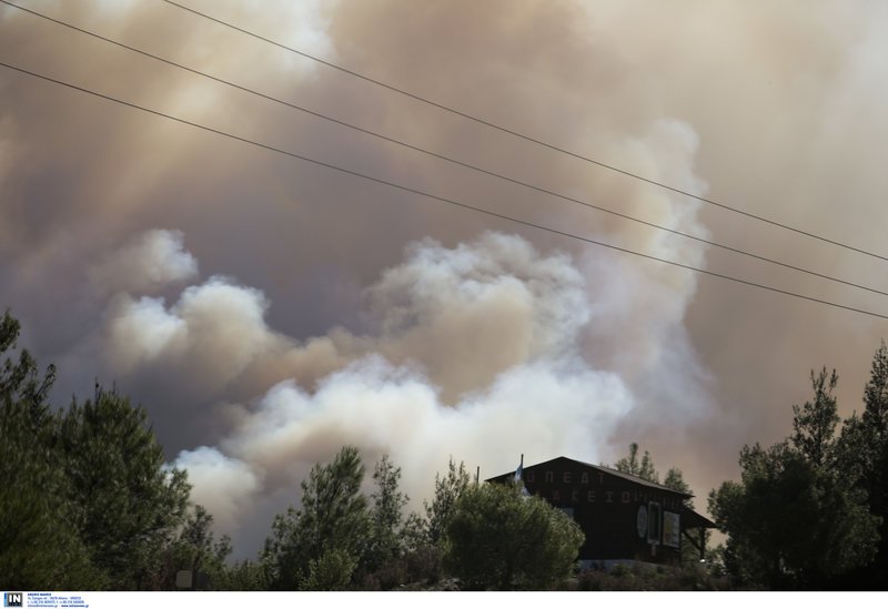 Νύχτα τρόμου στη Χαλκιδική: Φοβούνται νέο Μάτι οι κάτοικοι -Εκκενώνουν οικισμούς [εικόνες & βίντεο] | iefimerida.gr 4