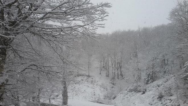 Κακοκαιρία: Πέφτει πολύ χιόνι και στην ορεινή Ναυπακτία [εικόνες] | iefimerida.gr 1