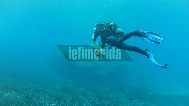 Ολοκληρώθηκε ο εθελοντικός καθαρισμός του βυθού της παραλίας της Καλντέρας [εικόνες] | iefimerida.gr 8