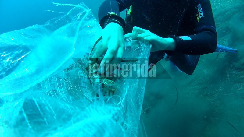 Ολοκληρώθηκε ο εθελοντικός καθαρισμός του βυθού της παραλίας της Καλντέρας [εικόνες] | iefimerida.gr 1