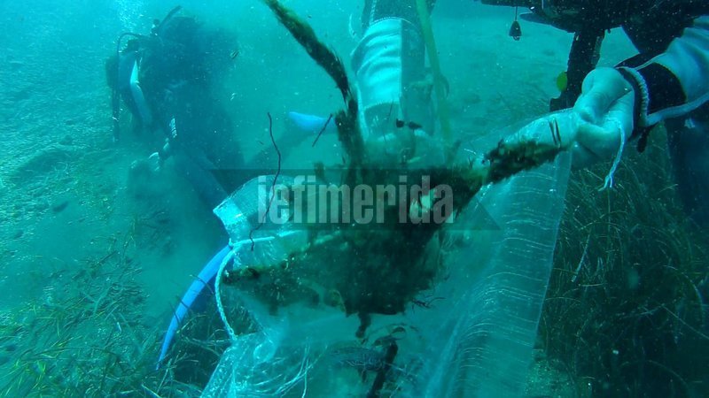 Ολοκληρώθηκε ο εθελοντικός καθαρισμός του βυθού της παραλίας της Καλντέρας [εικόνες] | iefimerida.gr 0