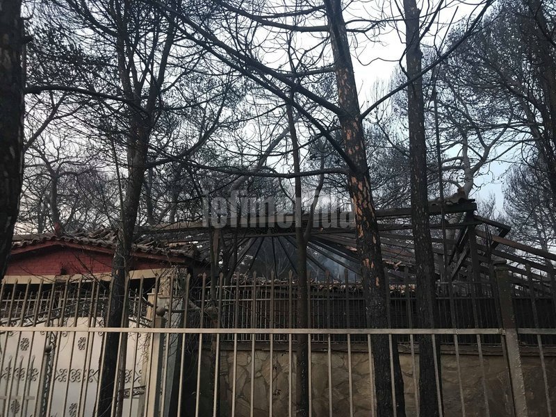 Σπαρακτικές εικόνες: «Κρανίου τόπος» η επόμενη ημέρα στο Μάτι  | iefimerida.gr 3