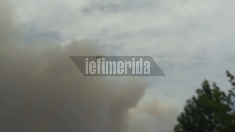 Μεγάλη φωτιά στην Κινέτα -Εκκενώθηκαν τρεις οικισμοί, καίγονται σπίτια [εικόνες & βίντεο] | iefimerida.gr 23