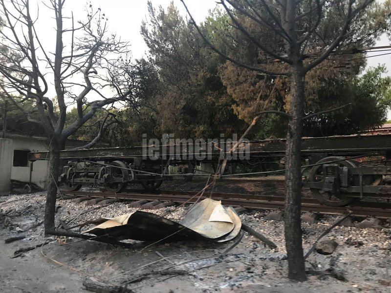 Σπαρακτικές εικόνες: «Κρανίου τόπος» η επόμενη ημέρα στο Μάτι  | iefimerida.gr 2