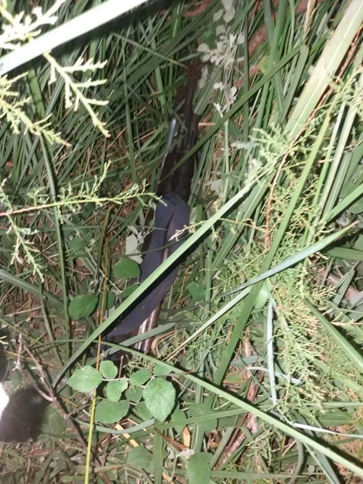 Το καλάσνικοφ που χρησιμοποίησε