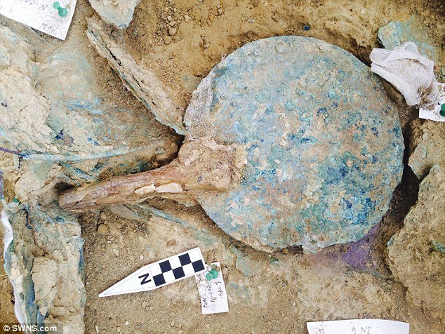 Ο πραγματικός «Αρχοντας των Δαχτυλιδιών» -Τι κρύβει ο 3.500 ετών σπουδαίος τάφος πολεμιστή, γεμάτος με θησαυρούς, στην Πύλο [εικόνες] | iefimerida.gr 8