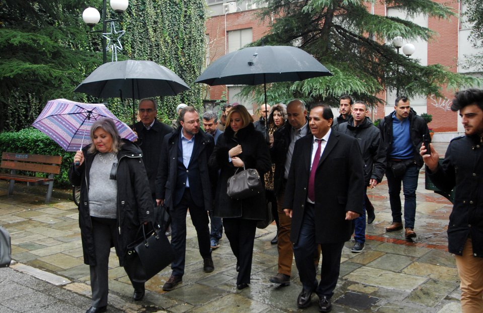 Γεννηματά από Τρίκαλα: Η χώρα χρειάζεται άλλη κυβέρνηση και εθνική γραμμή | iefimerida.gr 0
