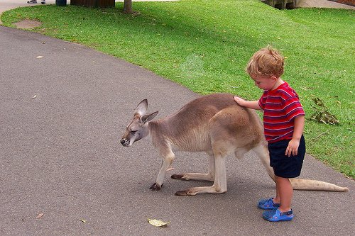 Μαθήματα τρυφερότητας από τα παιδιά του κόσμου και τους τετράποδους φίλους τους [εικόνες] | iefimerida.gr 1