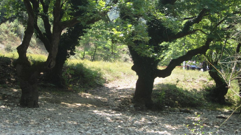 Ο νεκρός Μάριον Κόλα με το καλάσνικοφ στο σημείο της συμπλοκής [εικόνες&βίντεο]   | iefimerida.gr 2