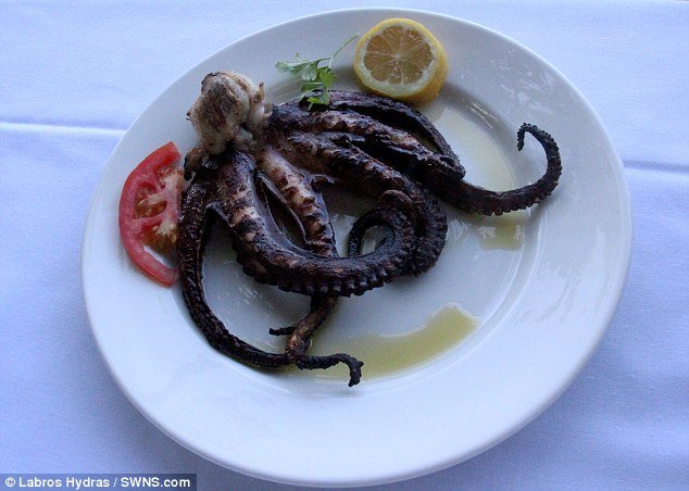 Το σπάνιο εξάποδο χταπόδι που έγινε μεζές από Ελληνοαμερικάνο ομογενή στο Πήλιο [εικόνες] | iefimerida.gr 6