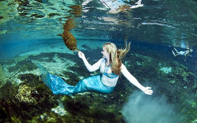 Σχολείο για ... γοργόνες στην Φλόριντα [εικόνες + βίντεο] | iefimerida.gr 0