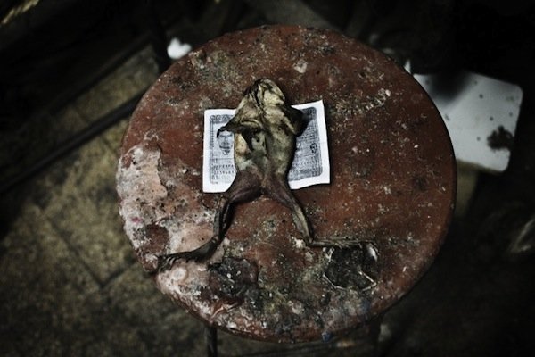 Τα ελληνικά δικαστήρια κυνηγούν την Wikipedia επειδή είπε τον Κατσανέβα όνειδος [εικόνες] | iefimerida.gr 2