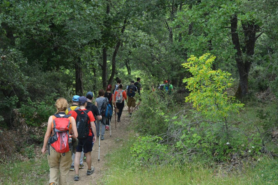 Κυριακάτικες αποδράσεις στην πόλη: Πεζοπορία σε Πάρνηθα, Υμηττό, Πεντέλη [εικόνες]  | iefimerida.gr 2