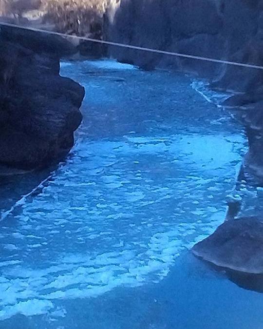 Πάγωσε ο Βενέτικος ποταμός στα Γρεβενά [εικόνες] | iefimerida.gr 0