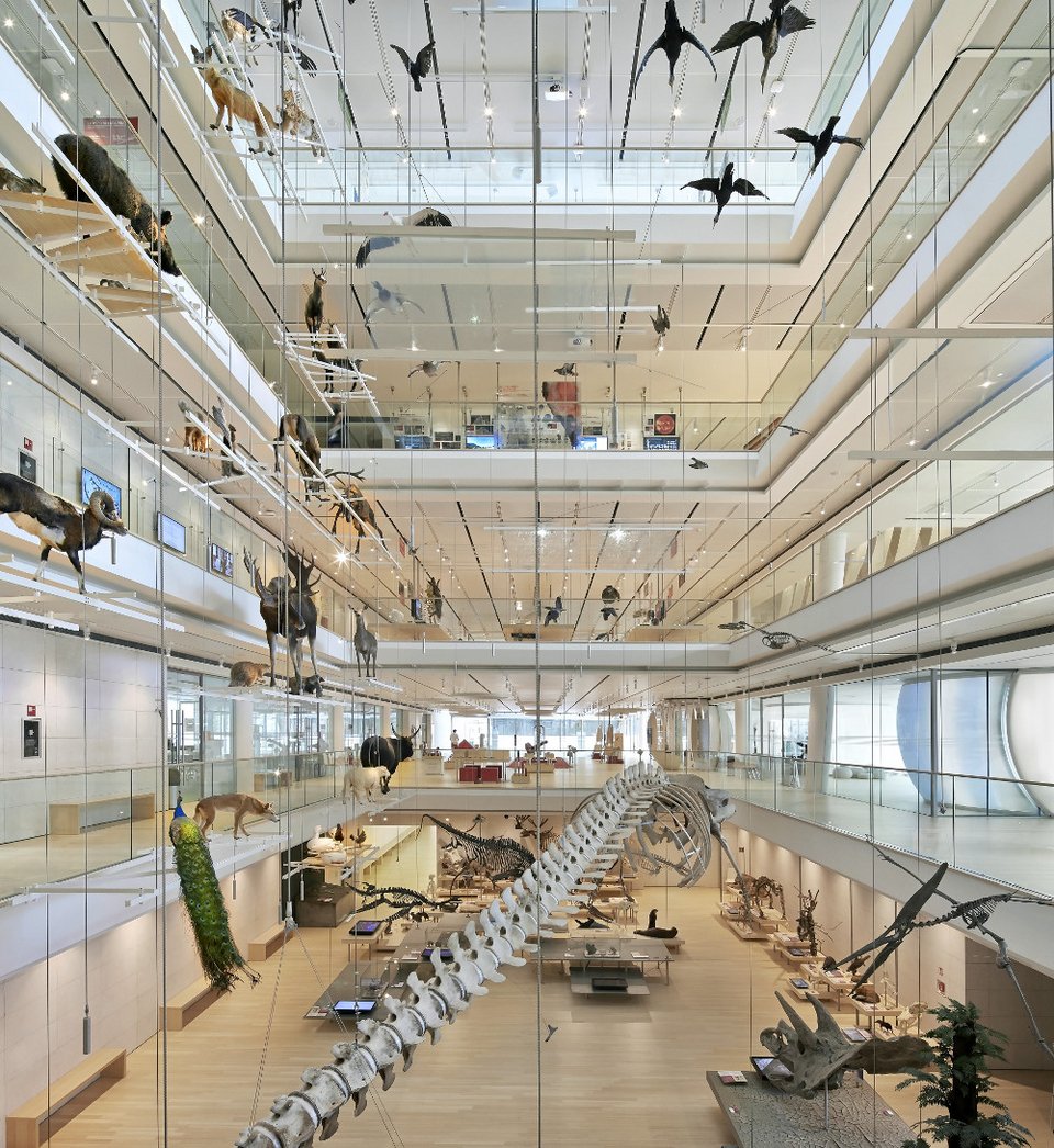 Εκθεση με μακέτες του αρχιτέκτονα Ρέντσο Πιάνο στο Κέντρο Πολιτισμού Ιδρυμα Νιάρχος [εικόνες]  | iefimerida.gr 1