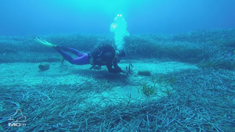 Βιολόγοι έριξαν πήλινα αγγεία με τροφή για τις φώκιες της Γυάρου [εικόνες] | iefimerida.gr 4
