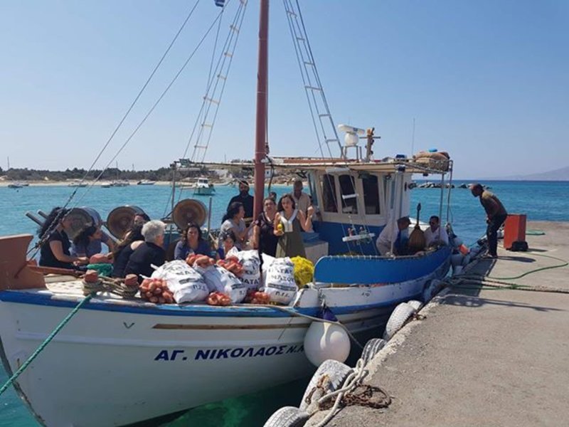 Ολη η Νάξος... καθαρίζει πατάτες -Πάει για ρεκόρ Γκίνες [εικόνες] | iefimerida.gr 1