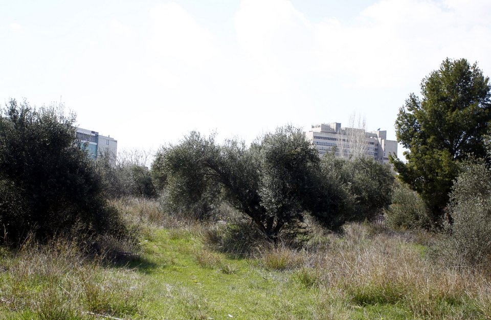 Εδώ θα χτιστεί το νέο γήπεδο του Παναθηναϊκού [εικόνες] | iefimerida.gr 0