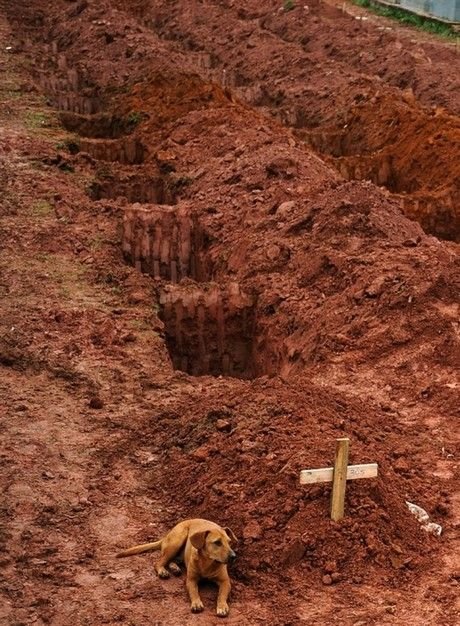 Οι 20 πιο συγκινητικές φωτογραφίες των τελευταίων 100 χρόνων | iefimerida.gr 4
