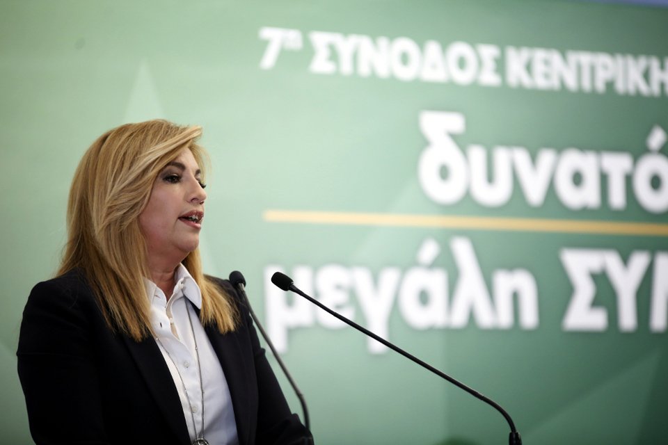 Γεννηματά στην ΚΕ του ΠΑΣΟΚ: Συλλογικό μας όραμα η μεγάλη Δημοκρατική Παράταξη | iefimerida.gr 2
