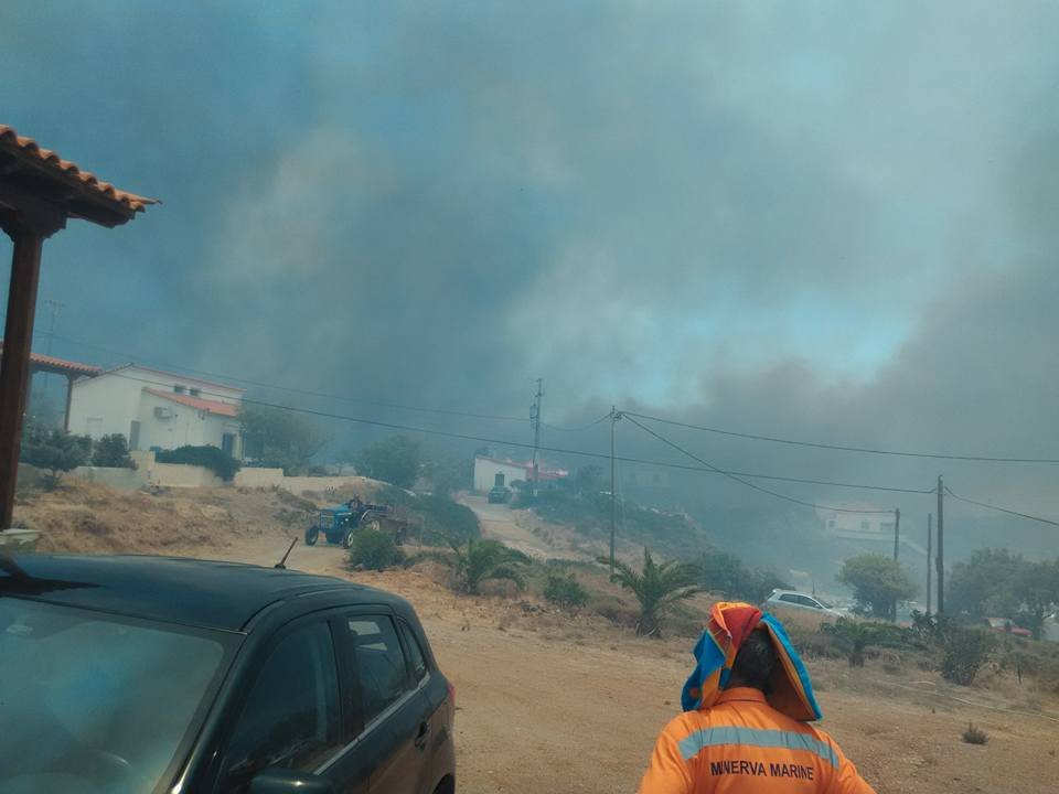 «Δεν φεύγω από το βιος μου»: Φωνή απόγνωσης από τους κατοίκους της Λακωνίας [εικόνες] | iefimerida.gr 4