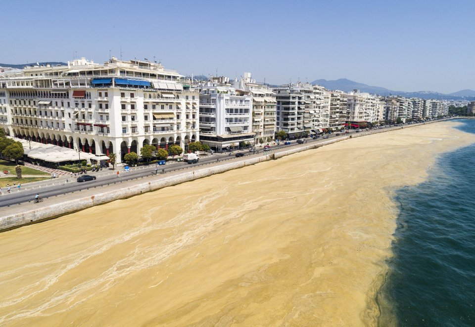 Ορίστε τι περιείχε η γλοιώδης ουσία που γέμισε τον Θερμαϊκό: Λιπάσματα, φυτοφάρμακα και αστικά λύματα | iefimerida.gr 1