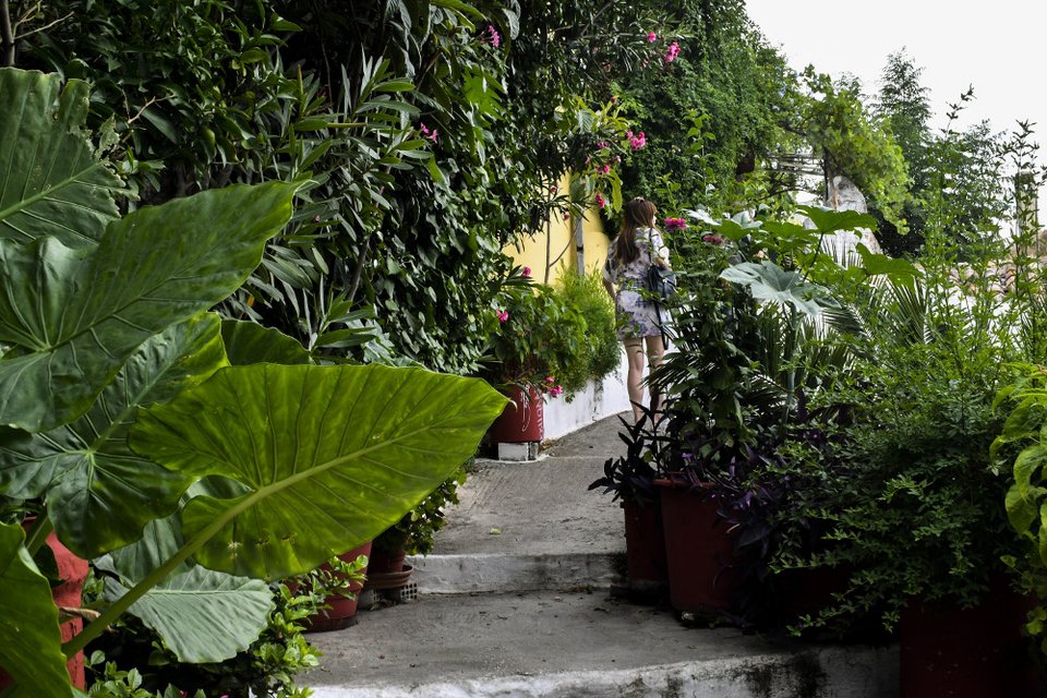 Στην Πλάκα για την 28η -Εκεί που σήμανε η καμπάνα της απελευθέρωσης [εικόνες]  | iefimerida.gr 4