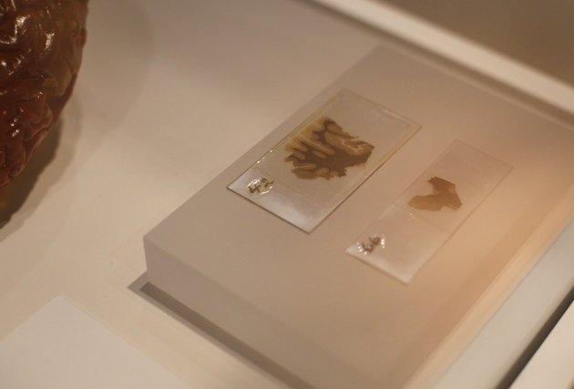 Πώς μπορείς να έχεις τον εγκέφαλο του Άινστάϊν στην οθόνη σου! [εικόνες] | iefimerida.gr 0