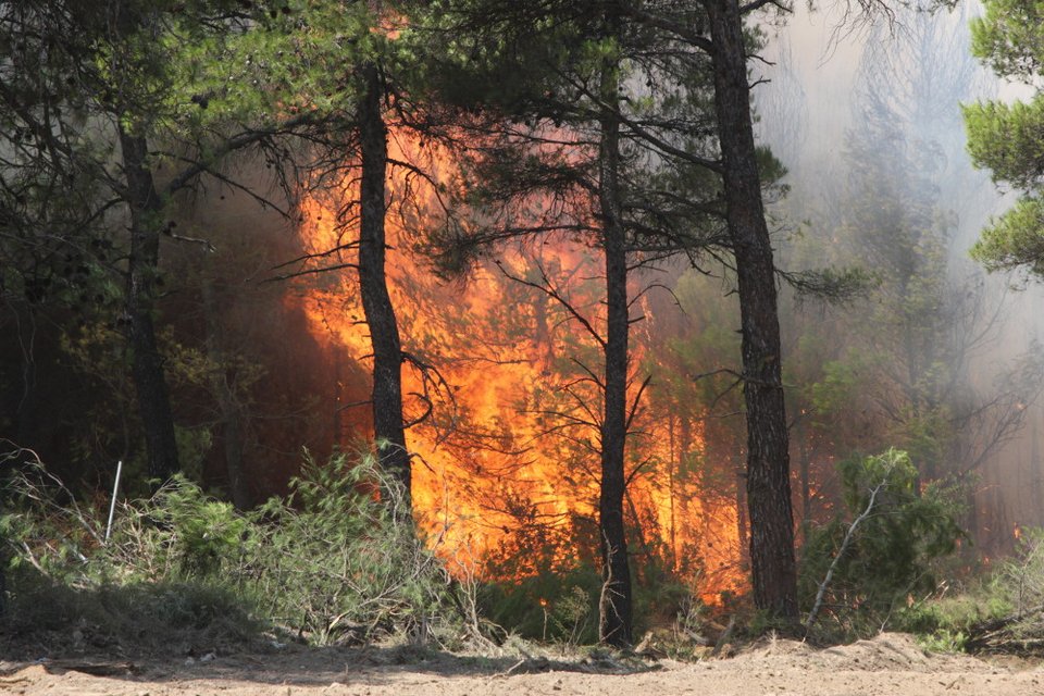 Αγωνία για τη φωτιά στην ανατολική Αττική -Τεράστιο ανεξέλεγκτο μέτωπο [εικόνες] | iefimerida.gr 4