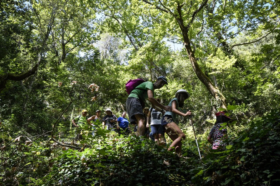 Σκηνικό βγαλμένο από παραμύθι στην Ηλεία -Οι καταρράκτες της Νεμούτας [εικόνες] | iefimerida.gr 1