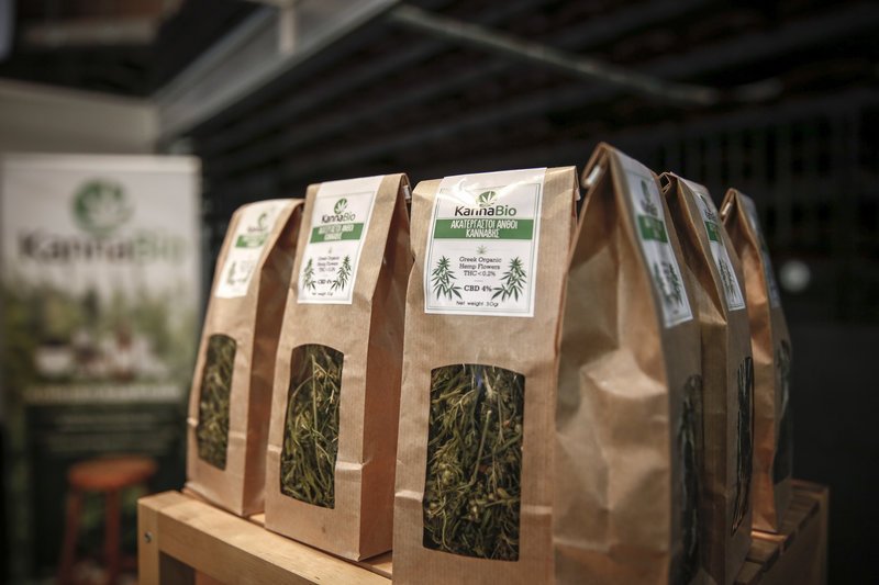 Γιώργος Παπανδρέου και Νίκος Καρανίκας στην πρώτη έκθεση κάνναβης στην Ελλάδα [εικόνες] | iefimerida.gr 12